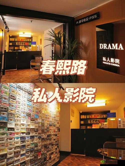 成人私人影院:打造专属私密空间,提供免费精彩影片