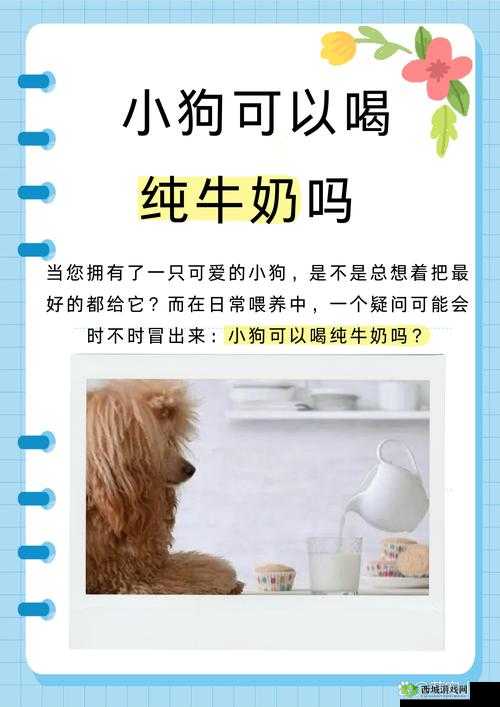 s 如何调 m 小狗:关于这一行为的深入探讨与分析