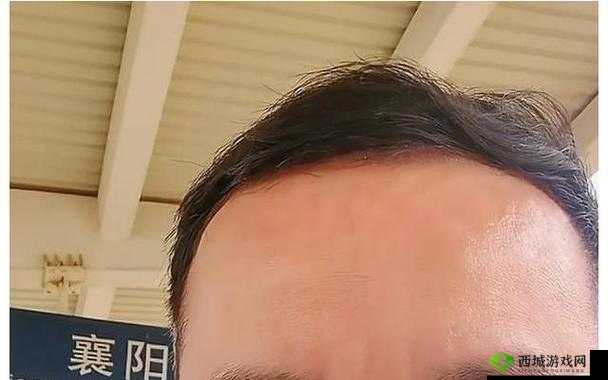 好色先生下 TV:独特视角解读精彩剧集