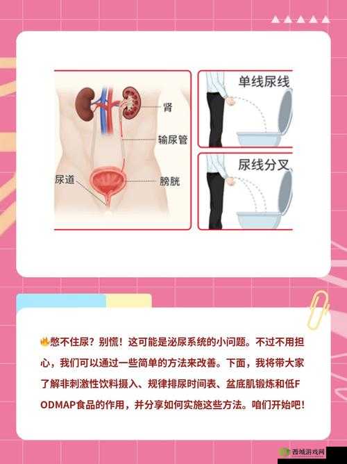 女性突然像尿了一样出了一股水:这到底是怎么回事引发的思考