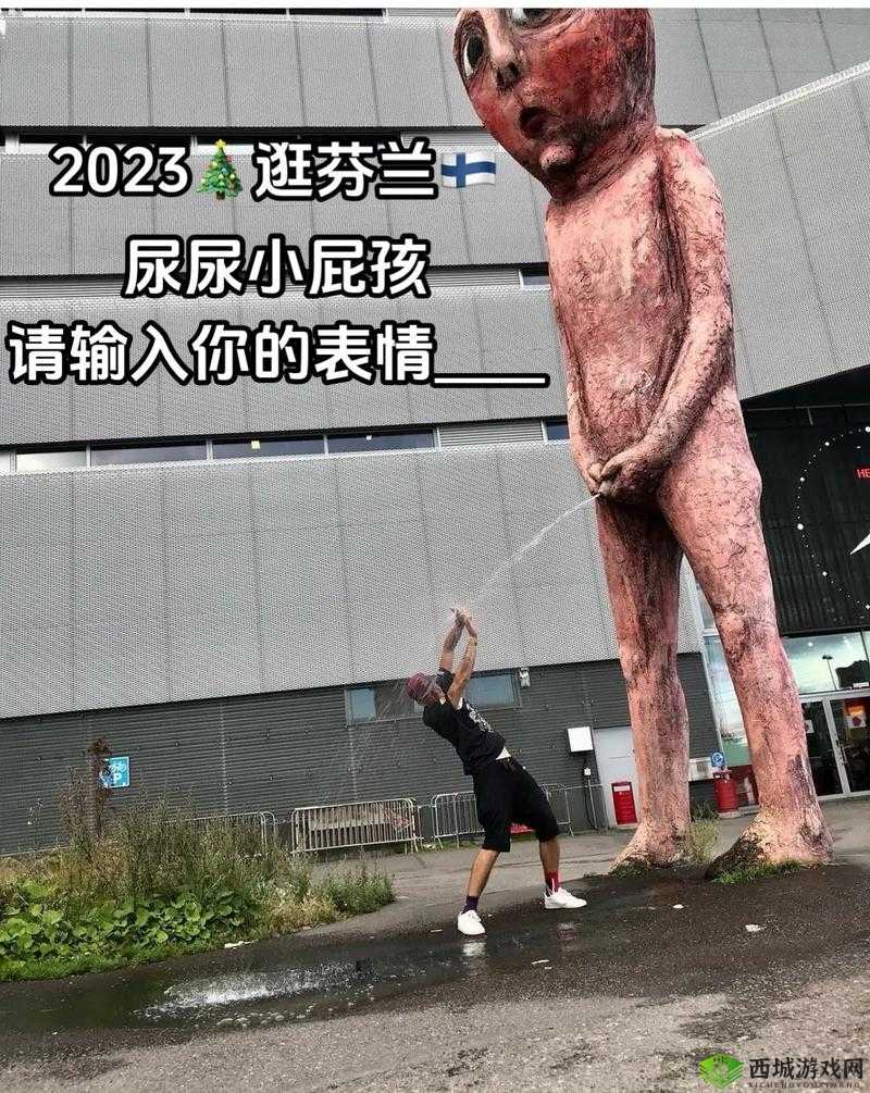 撒尿正面 BBwBBWBBWBBW:独特视角下的奇妙呈现