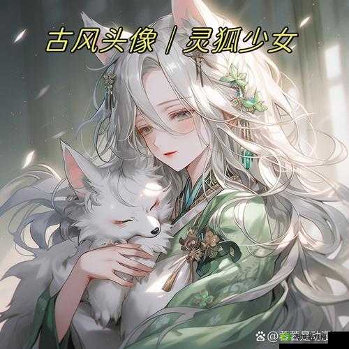 仙踪林Corporation大陆古装:带你领略不一样的古风世界