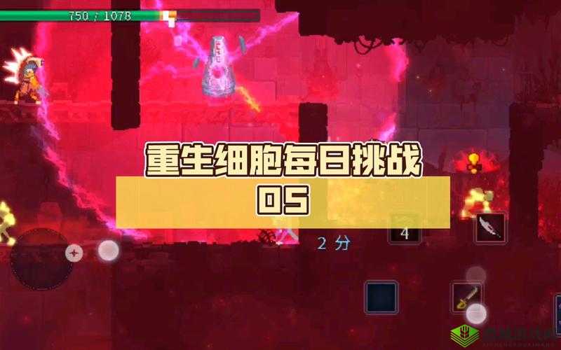 重生细胞，探索与挑战——揭秘藏骨堂