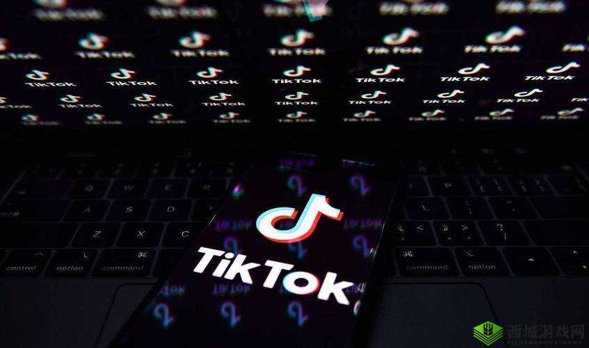 tiktok 官网:带你领略精彩短视频世界
