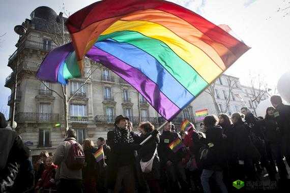 gayvideos:关于同性恋群体的视频内容展示与分析