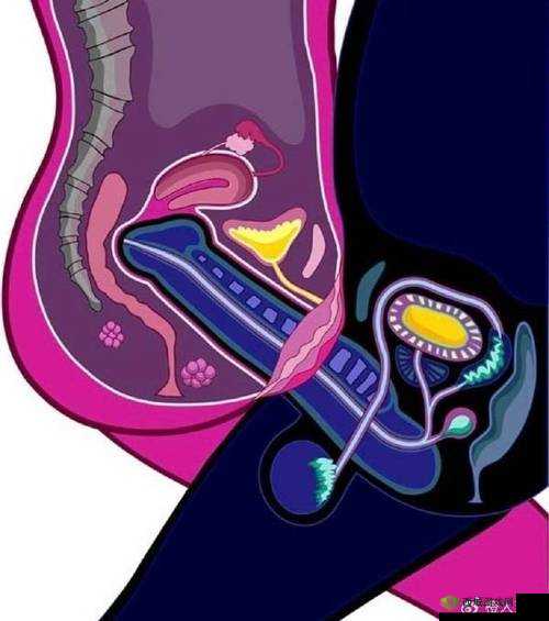 女性被狂躁 C 至高潮喷水,这种现象是否正常?