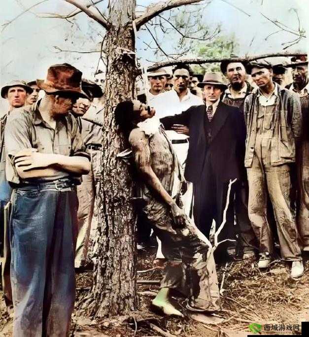 被黑人姿势猛到抽搐视频:揭秘真相