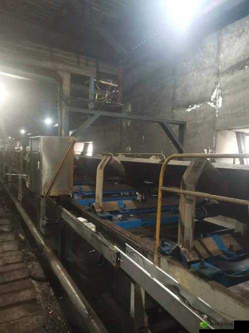 国产毛片欧美毛片久久久之激情演绎:探索未知的性领域