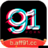 91免费破解版:一款备受关注的应用软件