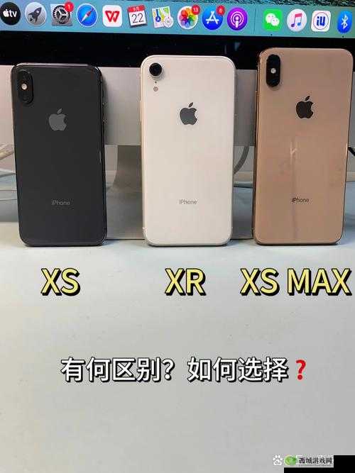 欧美 iPhone XS Max:科技与时尚的完美融合
