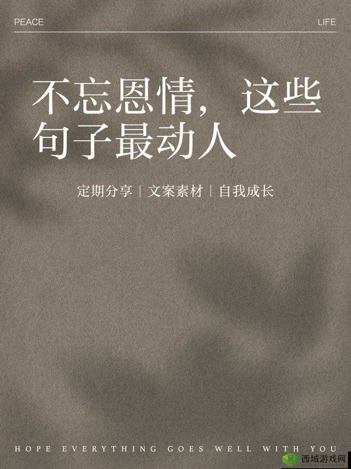 姑父有力挺送苏清:背后的支持力量与深情厚谊