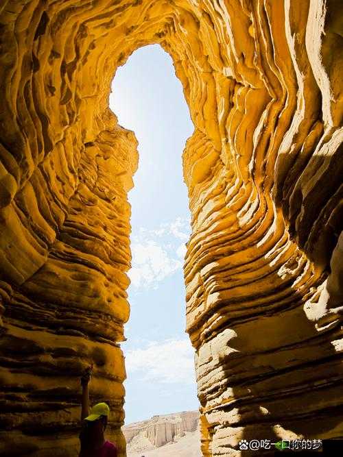 免费国无人区码一区二区:荒野的探索与挑战