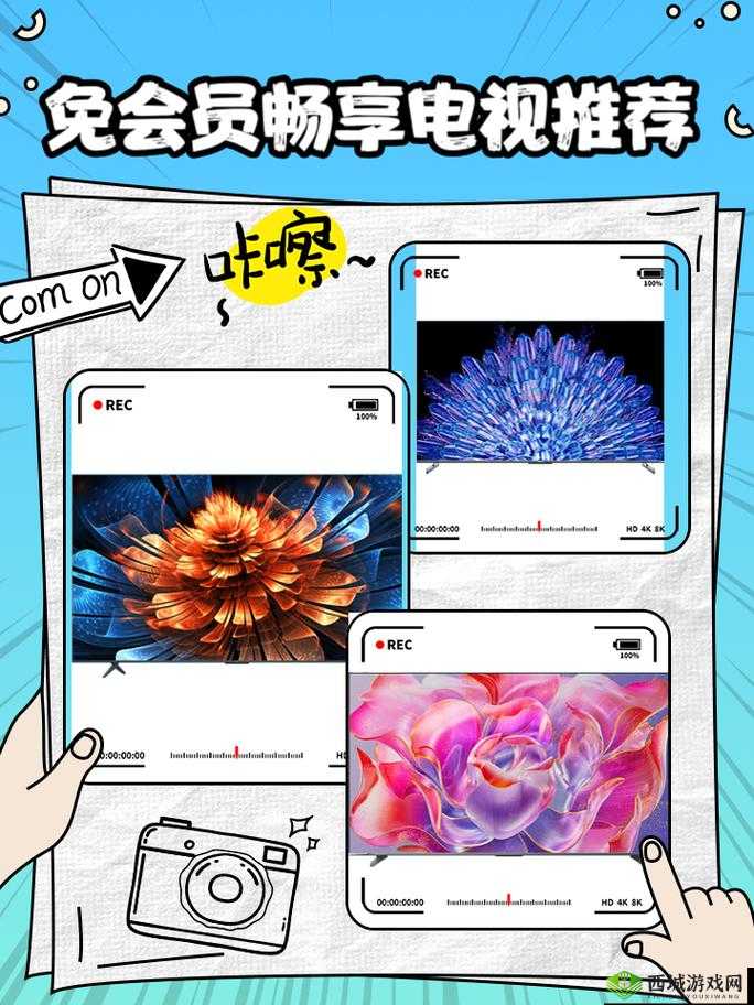 xkdspapp 旧版本 kdb 免会员版:带你畅享纯净的视觉体验