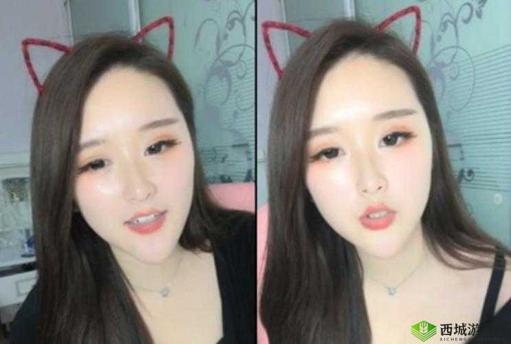 国产精品一品二区三区使用体验:畅享优质内容带来的愉悦享受