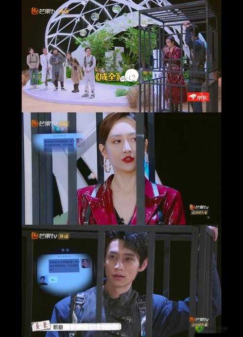 成全高清免费与普通版对比:详细解析两者差异所在