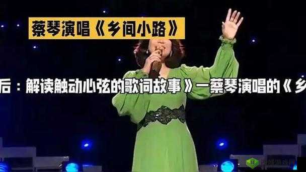 蹭蹭蹭噔噔噔抖抖抖什么歌:探寻其背后的旋律与故事