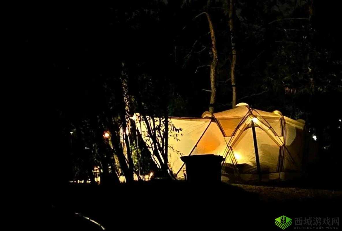 后营露营无增减相濡以沫:共赴浪漫之旅书写美好回忆