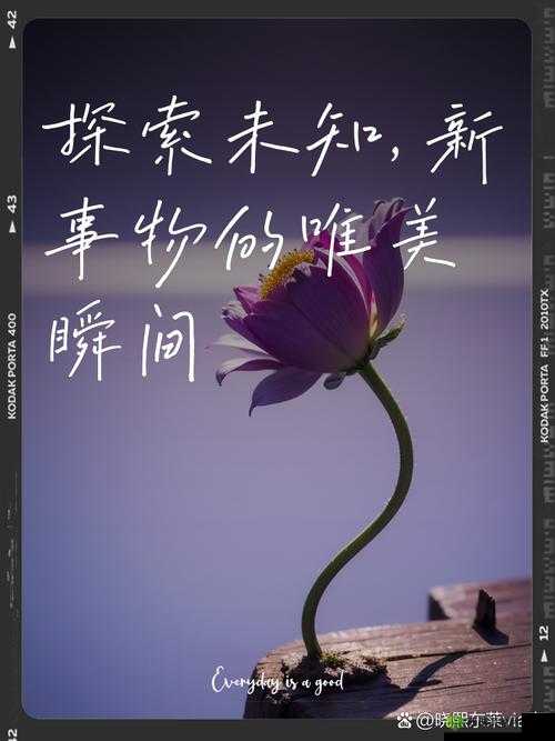 艺术家 Chappaartist-tometo 的艺术世界:探索未知的边界