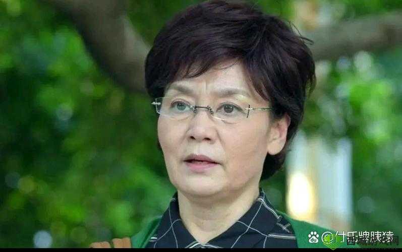 乱辈高龄老太婆 2 :一段不为人知的荒诞离奇故事