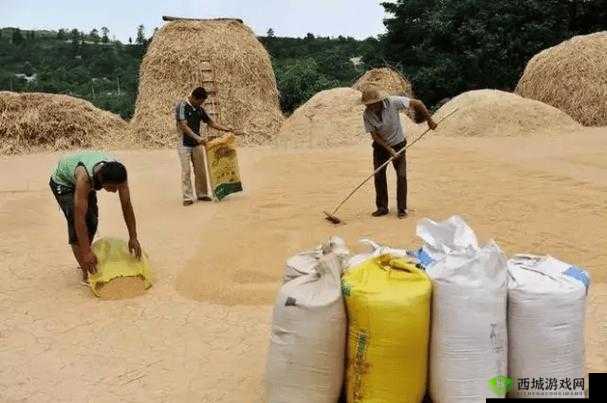 抵账的朋友麦子 3:一段充满波折的偿债友情之旅