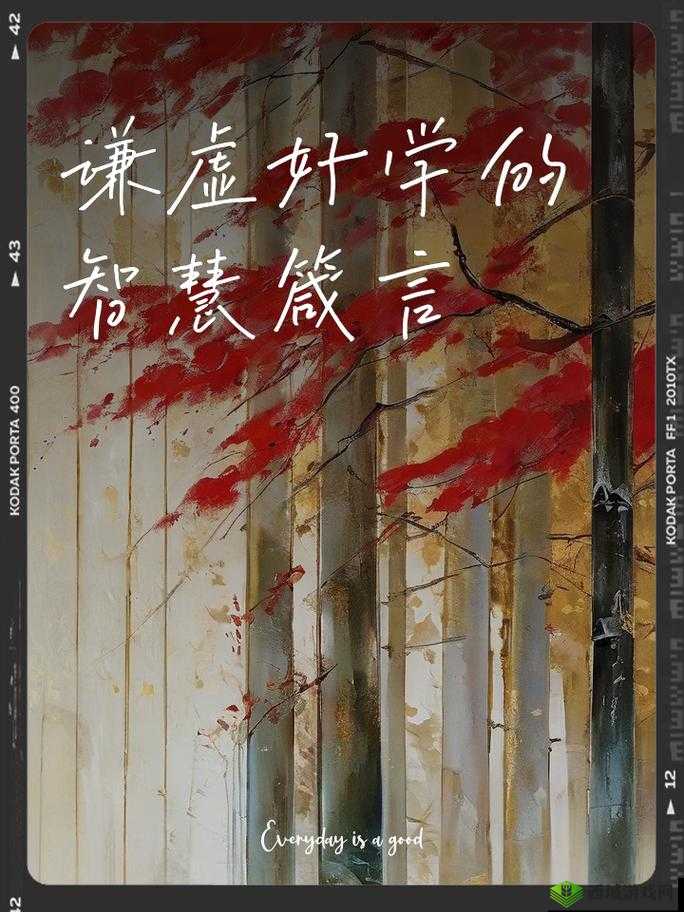 69堂永久入口:开启知识与智慧的无尽宝藏之门