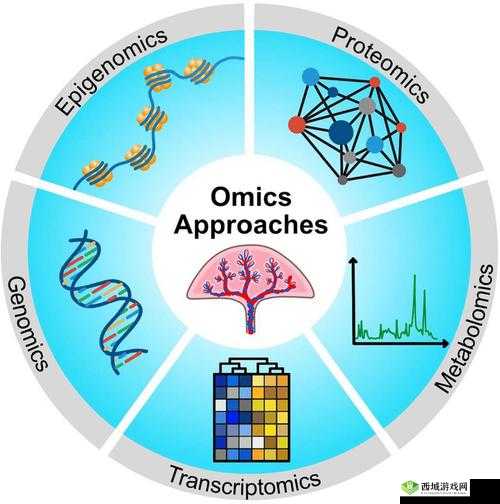 DNA 与 RNA 杂交视频:揭示生命遗传密码的微观之旅