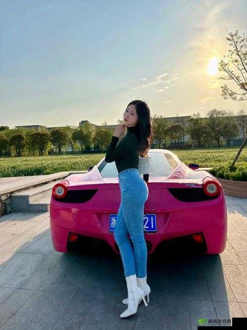 女人与拘高清 zooz0:一场别样的视觉盛宴