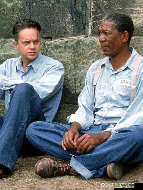 gogogo 高清完整版:一部令人震撼的精彩影片