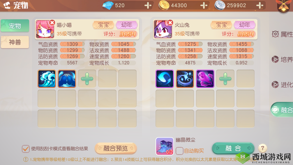 梦想新大陆以太宠物获得方式，资源管理的艺术