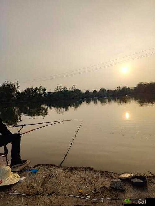 梦想新大陆,探索未知与垂钓之乐