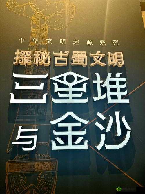 揭秘 kp2028.top：探索背后的神秘世界