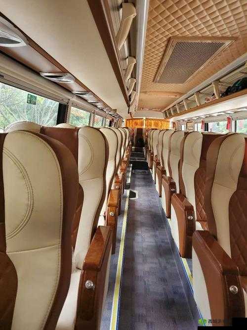 车内极致体验：爽 躁多水 快 深点车上的激情之旅