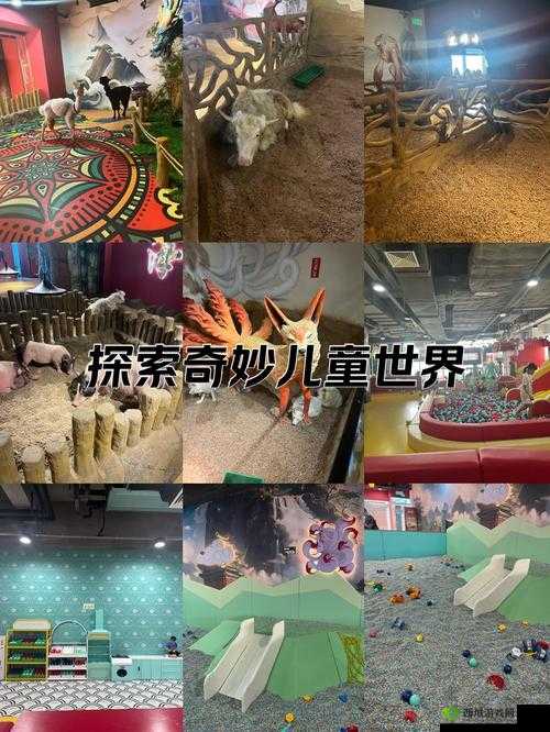 欧美又大又硬又粗 BBBBB:探索未知的奇妙世界