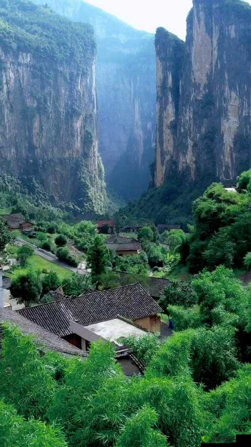 仙踪林性ⅩXXX性开放:探寻神秘的世外桃源