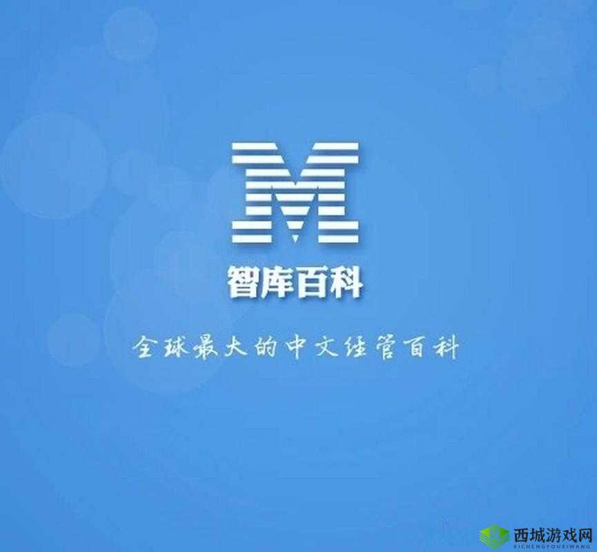 mba 智库百科：商业知识的宝库