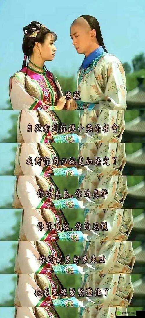 福伦在野外迷了紫薇是哪部电视剧之剧情详细解析与探讨