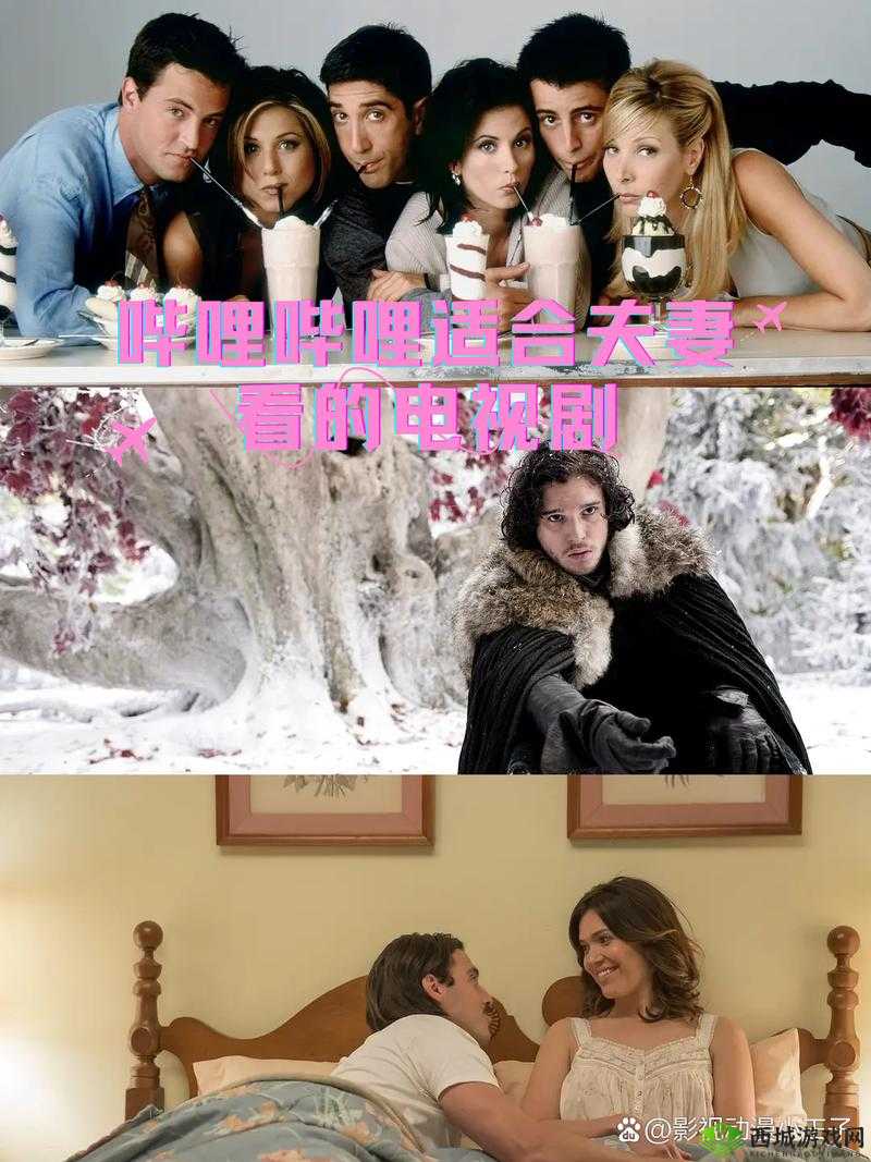 适合夫妻观看的哔哩哔哩电视剧:共同的欢乐时光