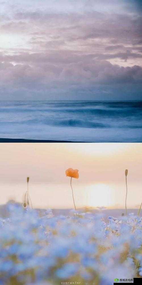 手机看片 1024 你懂的：私密空间的私人享受