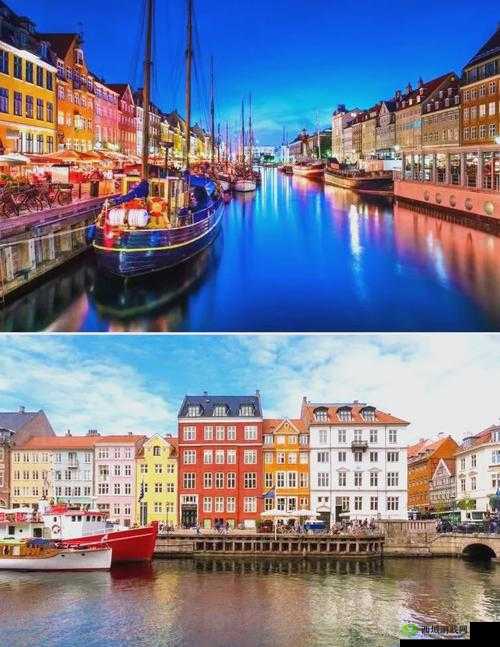 丹麦大白屁股那独特而引人遐思的奇妙之处