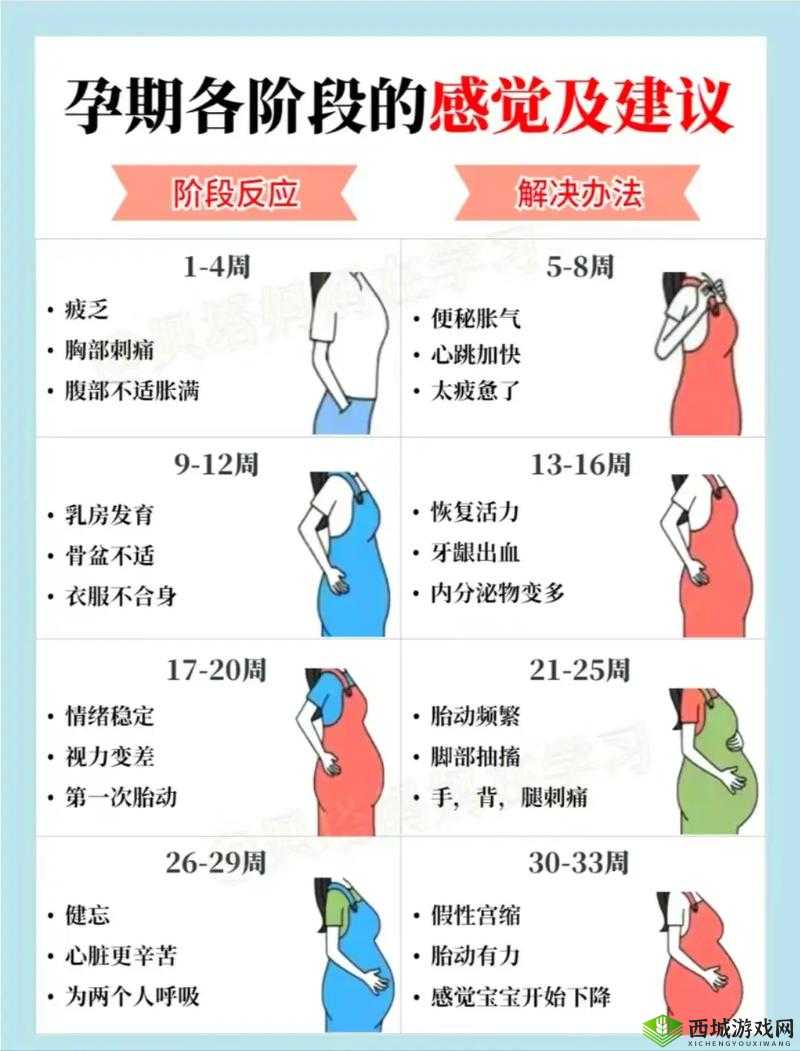 怀孕多久会有反应:全面解析孕期身体变化信号