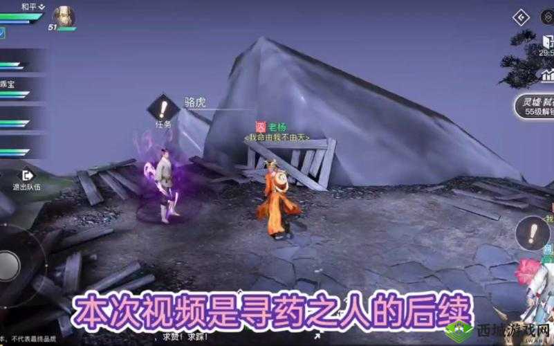 天谕寻药之人,一场充满反转的冒险之旅