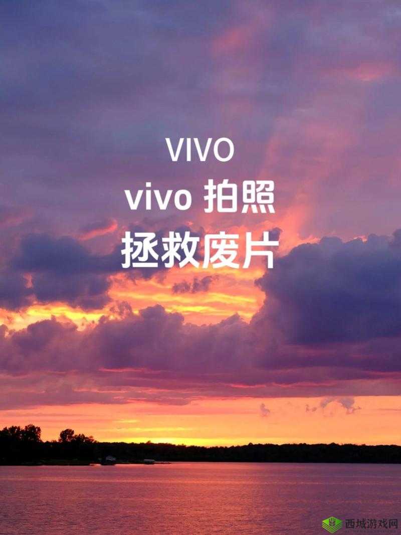 黄色 vivo 粉色 3.3.30 之独特魅力与精彩呈现