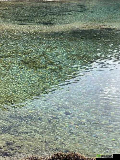 黄龙风景区溪水潺潺的秘密是什么:探寻其背后的神奇缘由与故事