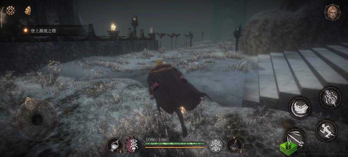 帕斯卡契约,揭秘支配者结晶的奇妙之旅