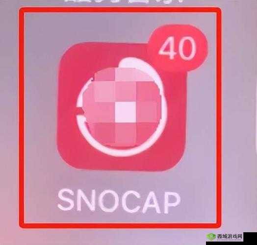 黄金网站软件 APP 粉色:引领潮流的创新应用平台