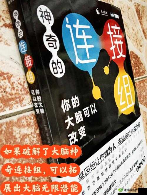 精产国品一二三区:探索未知的神秘领域