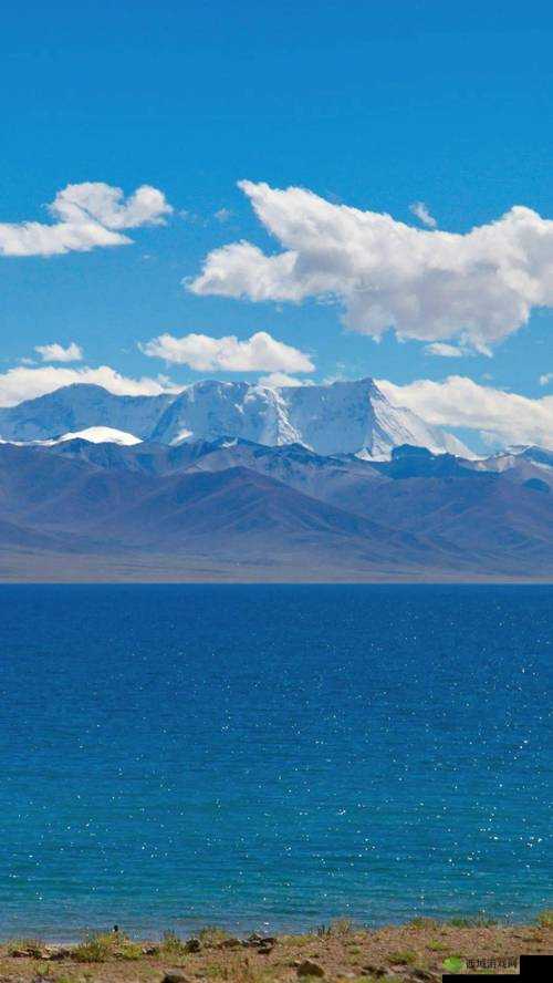 日产无人区一线二线三线视频:探秘无人区的神秘景象与背后故事