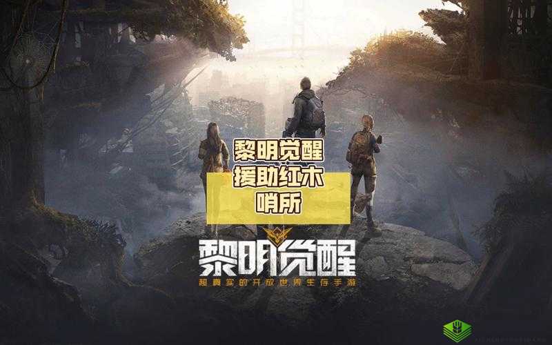 黎明觉醒,哨所重建的曙光与希望