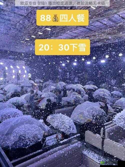 欧亚尺码专线欧洲 B1B1 播放更加稳定迅速:专业专线,稳定流畅