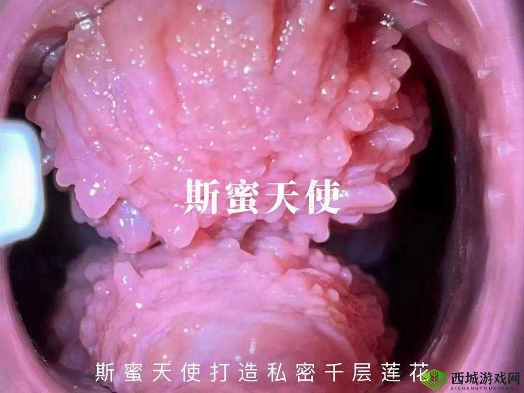 千层莲花裹茎术:一种神奇独特的传统技艺探秘